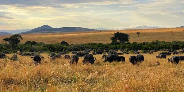 Volunteers exploring new horizons in Kenya
